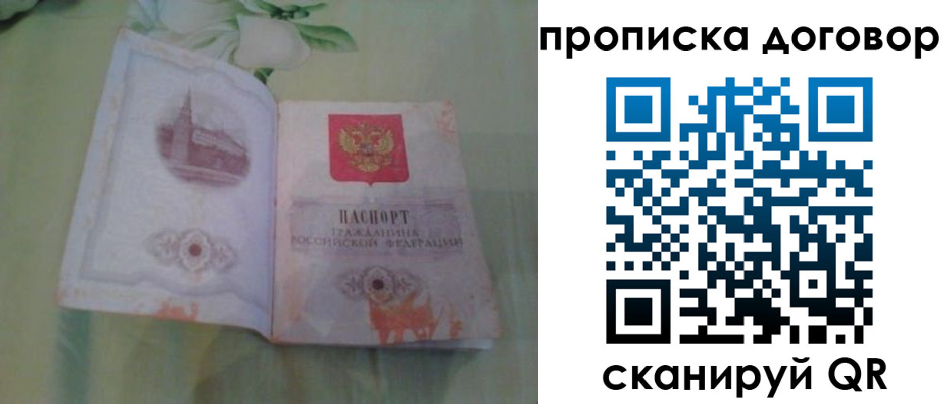 временная регистрация гарантия в Вязьме